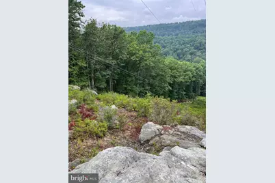 Lot #10 Martins Mountain Lane, Oldtown, MD 21555 - Photo 23