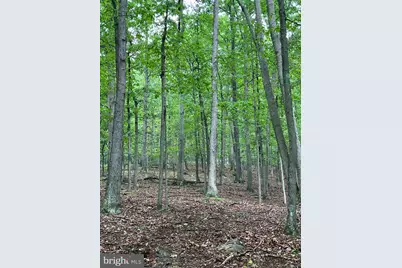 Lot #10 Martins Mountain Lane, Oldtown, MD 21555 - Photo 27
