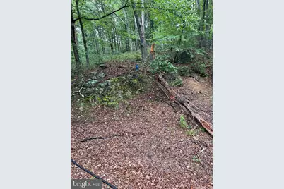 Lot #10 Martins Mountain Lane, Oldtown, MD 21555 - Photo 25