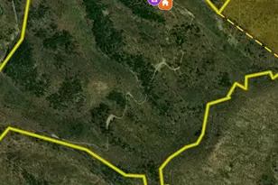 24200 E Hancock Rd, Flintstone, MD 21530 - Photo 119