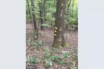 24200 E Hancock Road, Flintstone, MD 21530 - Photo 107