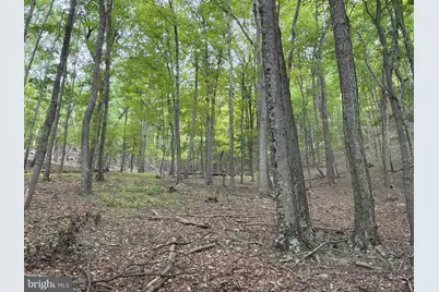 24200 E Hancock Road, Flintstone, MD 21530 - Photo 91