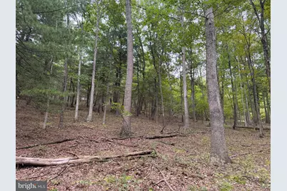 24200 E Hancock Road, Flintstone, MD 21530 - Photo 101