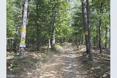 24200 E Hancock Road, Flintstone, MD 21530 - Photo 111