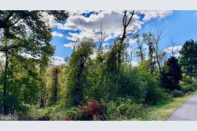 White Oak Drive E, Rawlings, MD 21557 - Photo 1