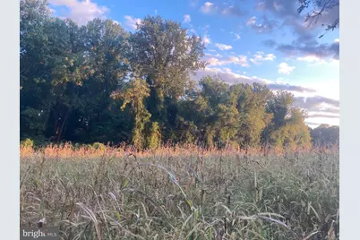 Dover Road, Glyndon, MD 21071 - Photo 3