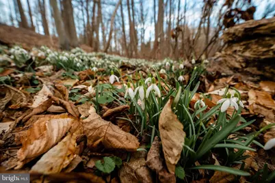 8412 Park Heights Avenue, Pikesville, MD 21208 - Photo 9