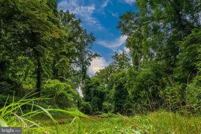 1310 Hollins Lane #LOT 2, Baltimore, MD 21209 - Photo 9