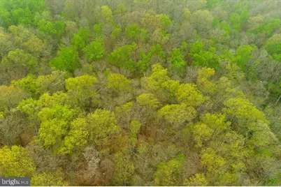 13036 Jerome Jay Drive, Cockeysville, MD 21030 - Photo 5