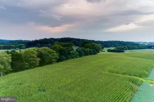 13401 Longnecker Rd, Reisterstown, MD 21136 - Photo 41