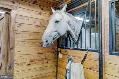 13401 Longnecker Road, Reisterstown, MD 21136 - Photo 49