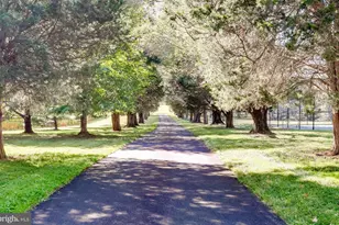 13401 Longnecker Rd, Reisterstown, MD 21136 - Photo 13