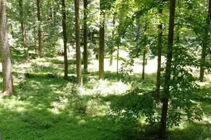 2201 Knox Ave, Reisterstown, MD 21136 - Photo 5