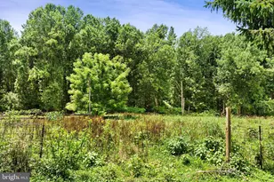 3320 Offutt Rd, Randallstown, MD 21133 - Photo 13