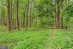 3320 Offutt Rd, Randallstown, MD 21133 - Photo 9