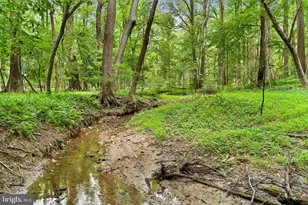 3320 Offutt Rd, Randallstown, MD 21133 - Photo 3