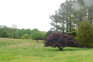 4023 Miller Rd, Kingsville, MD 21087 - Photo 61