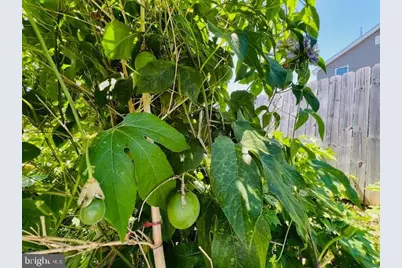 343 N Beaumont Avenue, Baltimore, MD 21228 - Photo 37