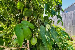 343 N Beaumont Ave, Baltimore, MD 21228 - Photo 37