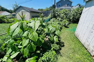 343 N Beaumont Ave, Baltimore, MD 21228 - Photo 41