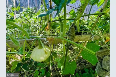 343 N Beaumont Avenue, Baltimore, MD 21228 - Photo 39