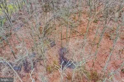 Bird River Road, Middle River, MD 21220 - Photo 19