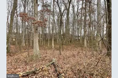 Bird River Road, Middle River, MD 21220 - Photo 23
