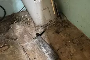 1711 Woodland Dr, Baltimore, MD 21222 - Photo 23