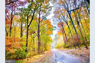 10530 Stevenson Road, Stevenson, MD 21153 - Photo 93