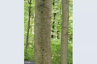 1218 Rayville Road, Parkton, MD 21120 - Photo 15