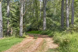 17515 Masemore Rd, Parkton, MD 21120 - Photo 27