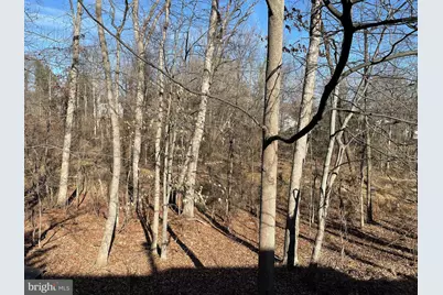 8285 Berryfield Drive, Baltimore, MD 21236 - Photo 55