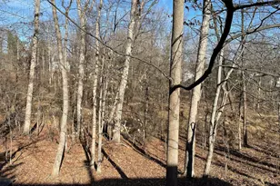 8285 Berryfield Dr, Baltimore, MD 21236 - Photo 55