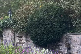 3600 Butler Rd, Glyndon, MD 21071 - Photo 57