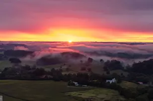 3600 Butler Rd, Glyndon, MD 21071 - Photo 11