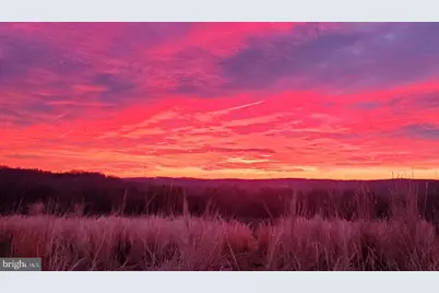 3600 Butler Road, Glyndon, MD 21071 - Photo 99