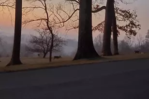 3600 Butler Rd, Glyndon, MD 21071 - Photo 73