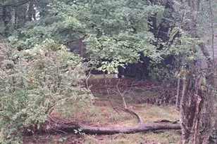 4401 E Joppa Rd, Perry Hall, MD 21128 - Photo 21