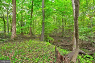 9955 Belair Rd, Kingsville, MD 21087 - Photo 31