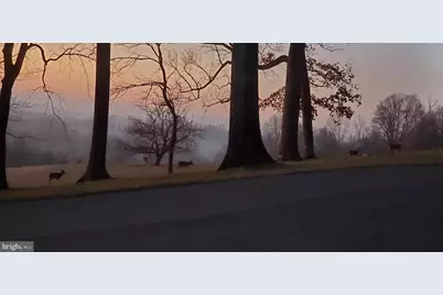 3600 Butler Road, Glyndon, MD 21071 - Photo 73