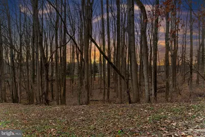 14498 Western Road #2, Sparks Glencoe, MD 21152 - Photo 5