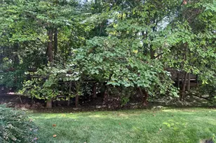 425 Hopkins Landing Dr, Baltimore, MD 21221 - Photo 43