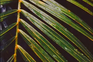 14490 Western Rd, Sparks Glencoe, MD 21152 - Photo 7