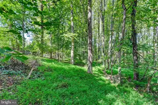 14490 Western Rd, Sparks Glencoe, MD 21152 - Photo 13