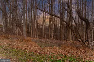 14490 Western Rd, Sparks Glencoe, MD 21152 - Photo 17