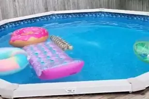 3339 Acton Rd, Parkville, MD 21234 - Photo 3