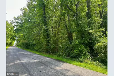 Parcel 943 Browns Road, Essex, MD 21221 - Photo 3