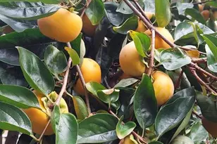 118 Mardan Dr, Reisterstown, MD 21136 - Photo 49