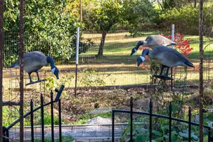 13801 Manor Rd, Baldwin, MD 21013 - Photo 29