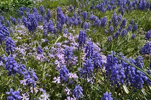 13801 Manor Rd, Baldwin, MD 21013 - Photo 45